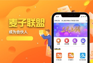 龙姐网络，无锡APP开发公司,一款在线做单任务提交系统，成为合伙人获得更多收益