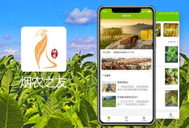 龙姐网络，无锡APP开发公司,病虫害识别、烤烟等级识别、病虫害防范知识